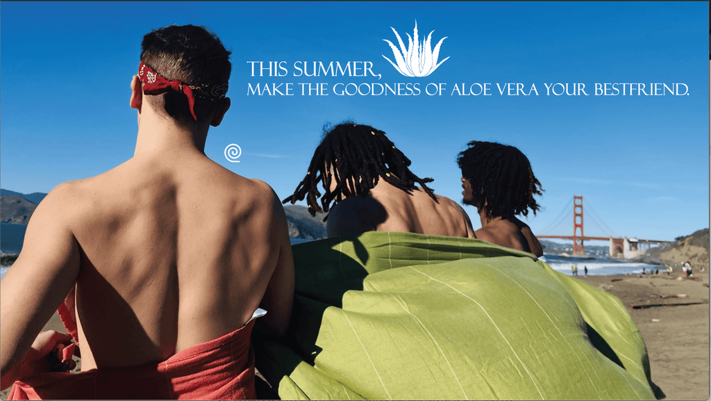 An Aloe vera summer - Doctor Towels