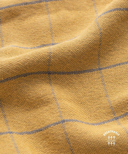 Golden Ochre
